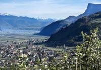Mare di fiori nel valle dell\'Adige