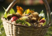 frutta dell´ autunno